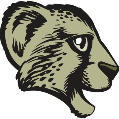 BAW CHEETAH 17 RC Thumbnail