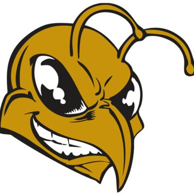 BAW BEE 18 RC Thumbnail