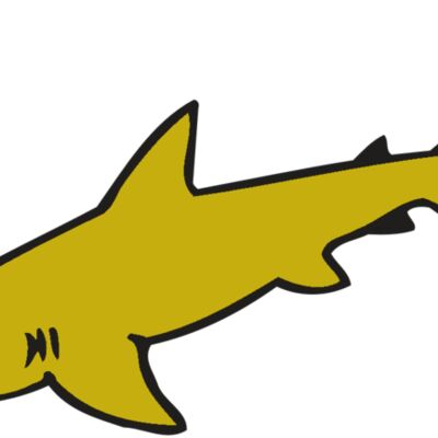 AR  SHARK 31 RC Thumbnail